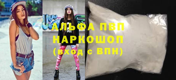 хмурый Аркадак