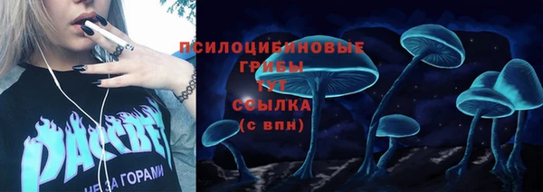 шишки Алзамай