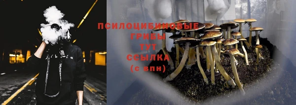 прущие крисы Алексеевка
