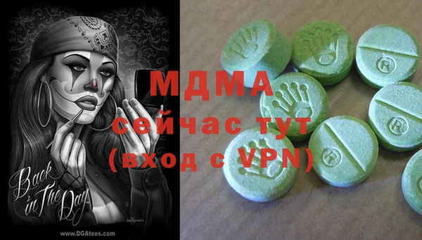 хмурый Аркадак