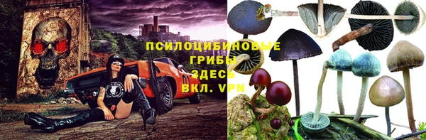 шишки Алзамай
