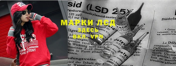 шишки Алзамай
