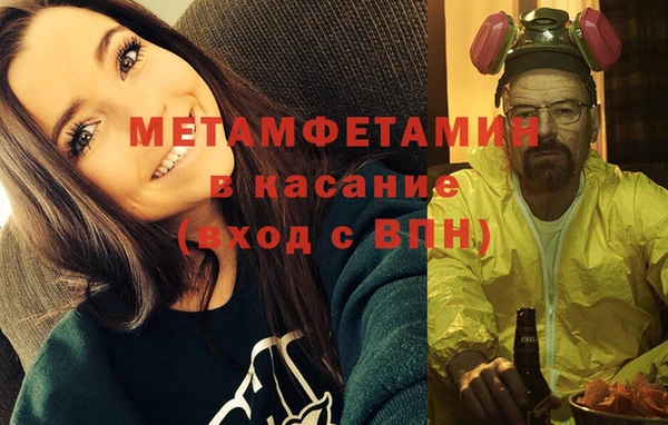 хмурый Аркадак